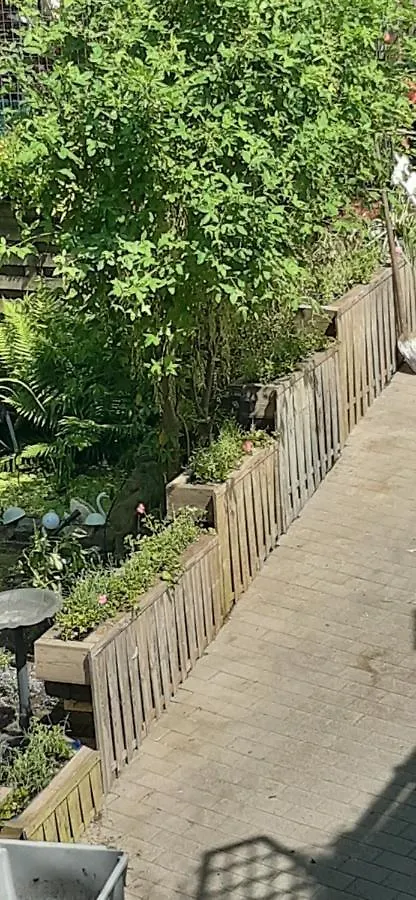 שרלרואה La P'Tite Maison בלגיה