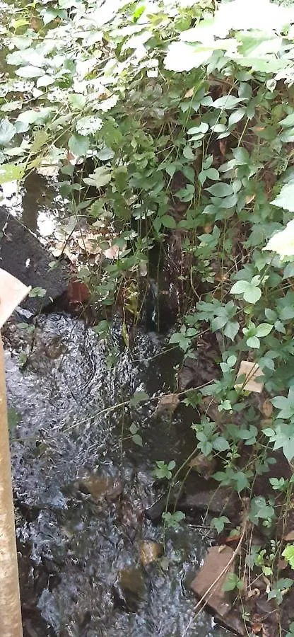 בית נופש שרלרואה La P'Tite Maison בלגיה