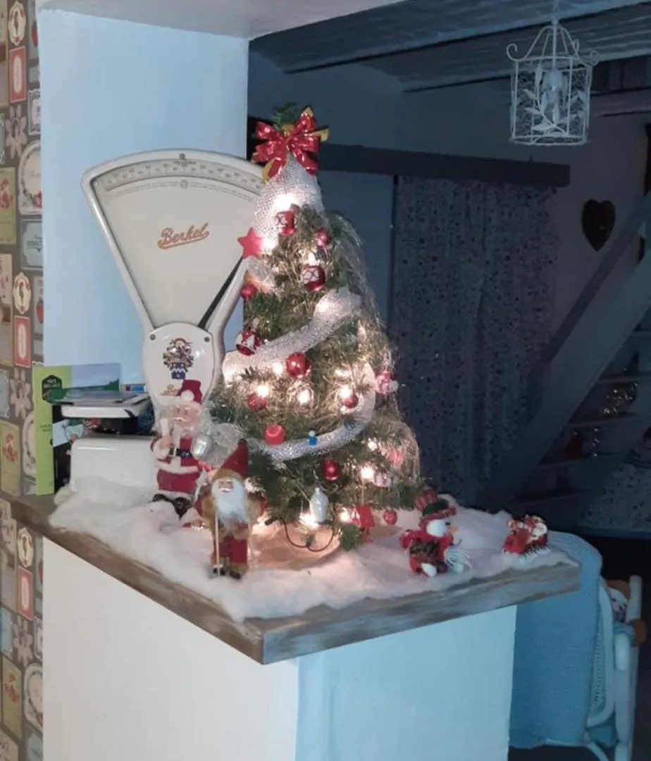 שרלרואה La P'Tite Maison